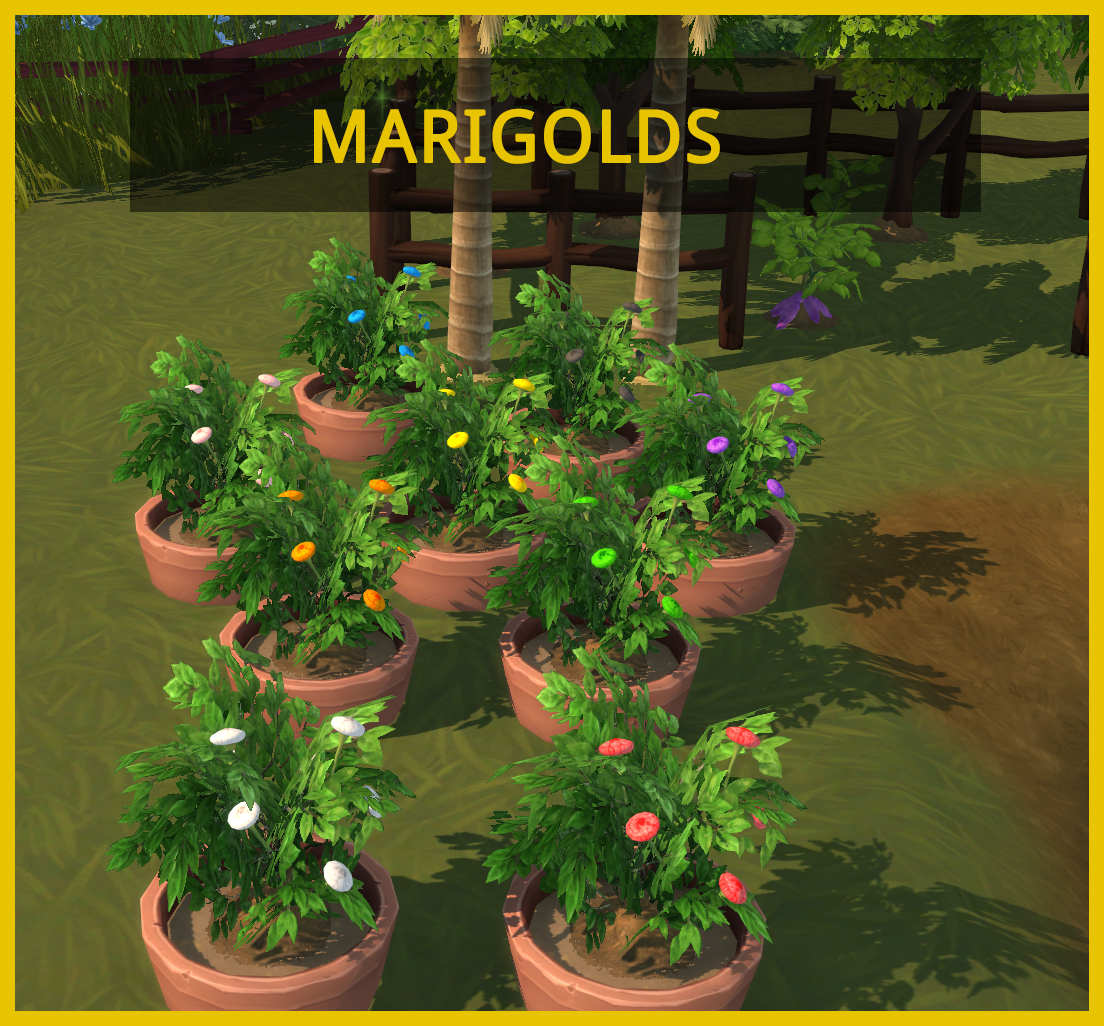 Marigold Set - Zuhi
