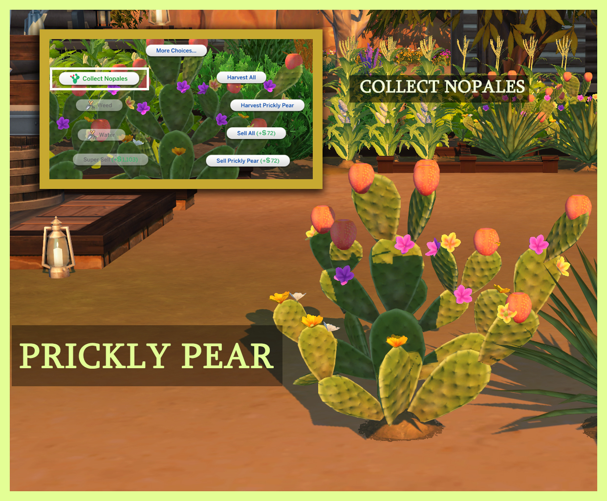 Prickly Pear Plant  icemunmun